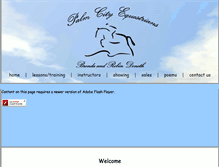 Tablet Screenshot of palmcityequestrians.com